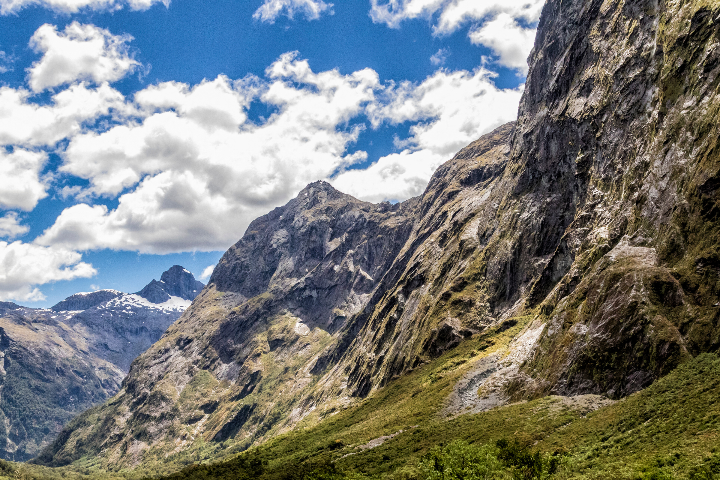 supper cove, fiordland national park (2).webp